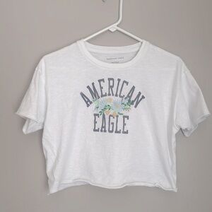 AE oversized embroidered crop tee